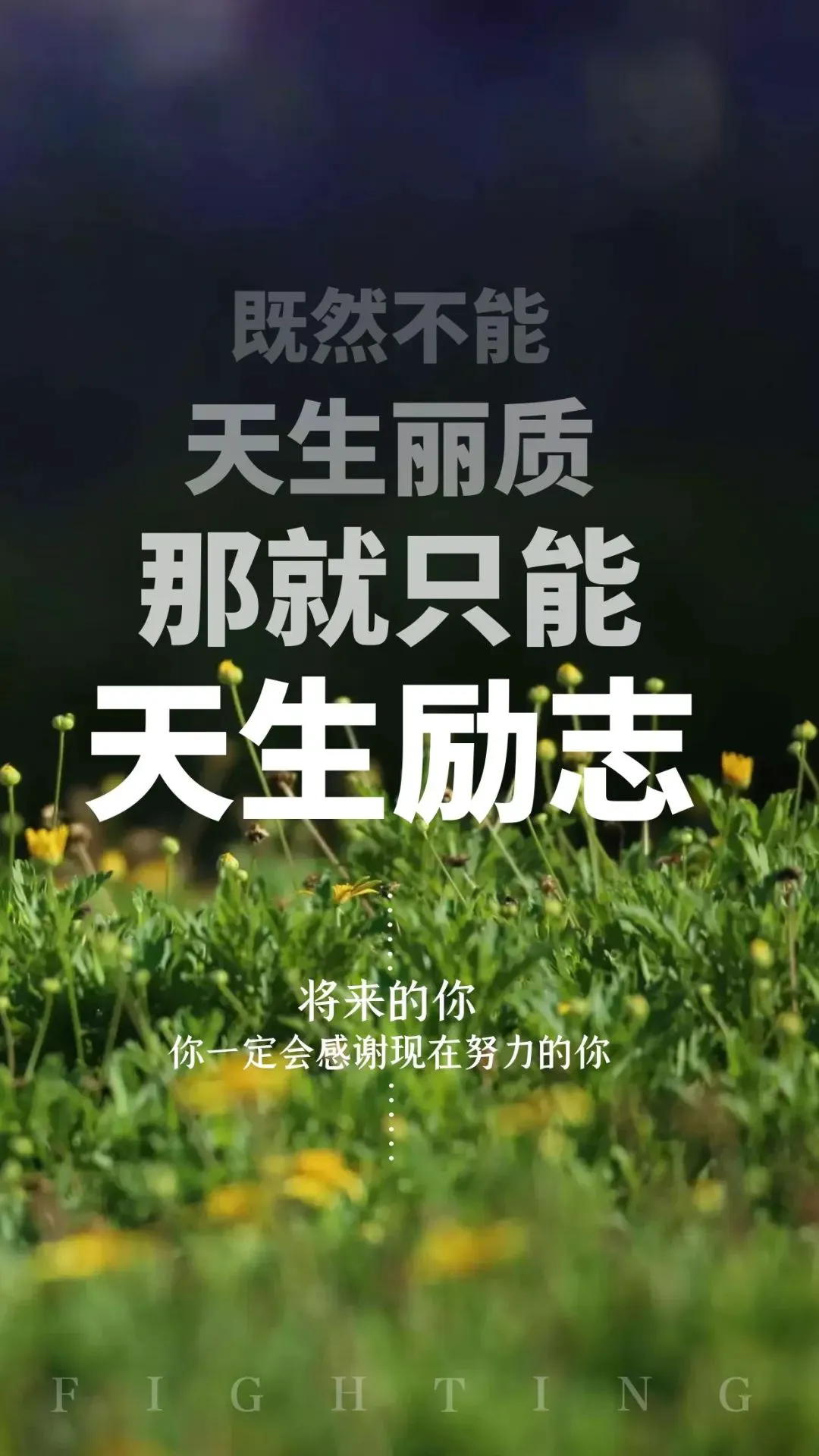 如何在有限时间内最大化篮球训练效果的策略_2